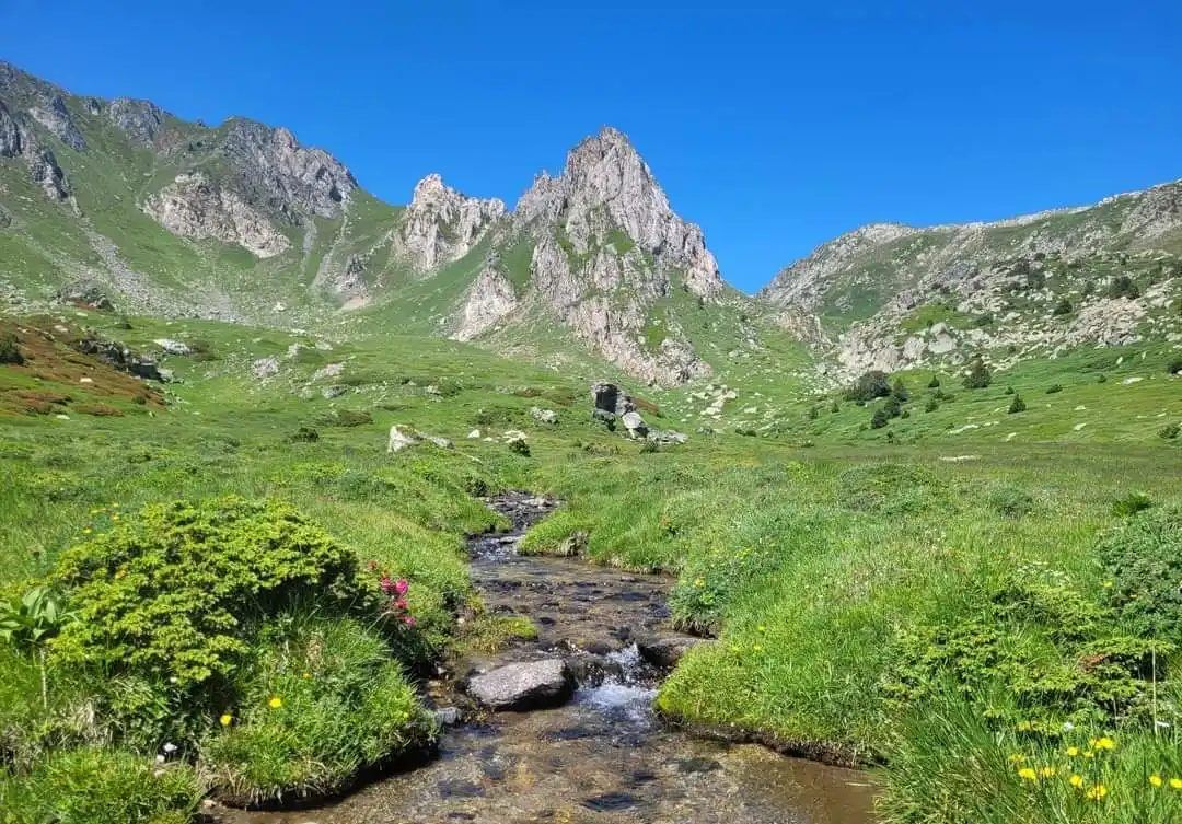 Vallée verte et ruisseau sous des pics rocheux